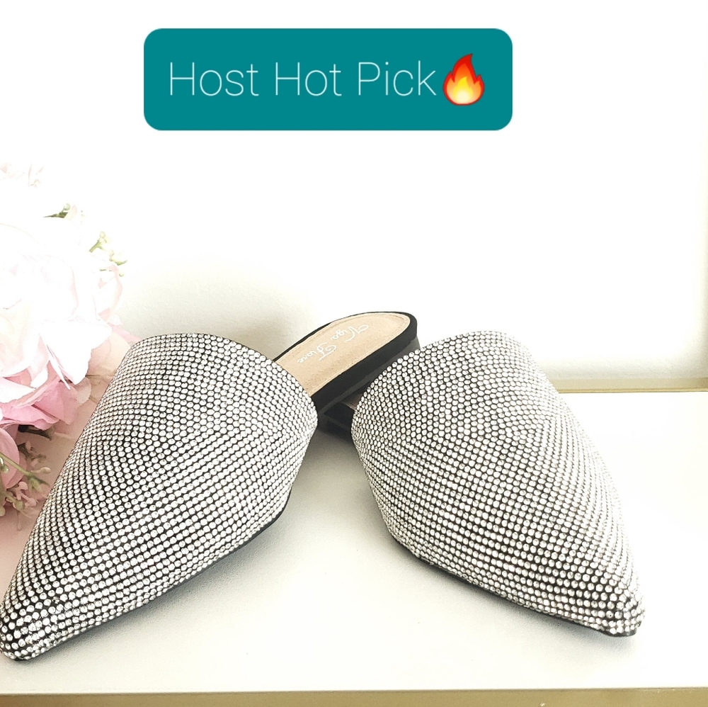 *NWT & Box* Tracie Rhinestone Slides